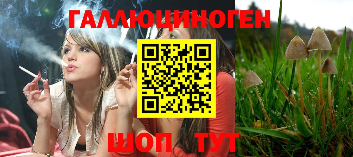 Псилоцибиновые грибы Cubensis Стерлитамак