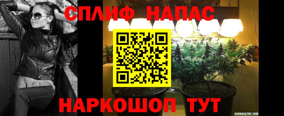 Бошки марихуана семена  МАРИХУАНА планчик  Марихуана сатива  Вход с VPN  Конопля OG Kush  Стерлитамак 